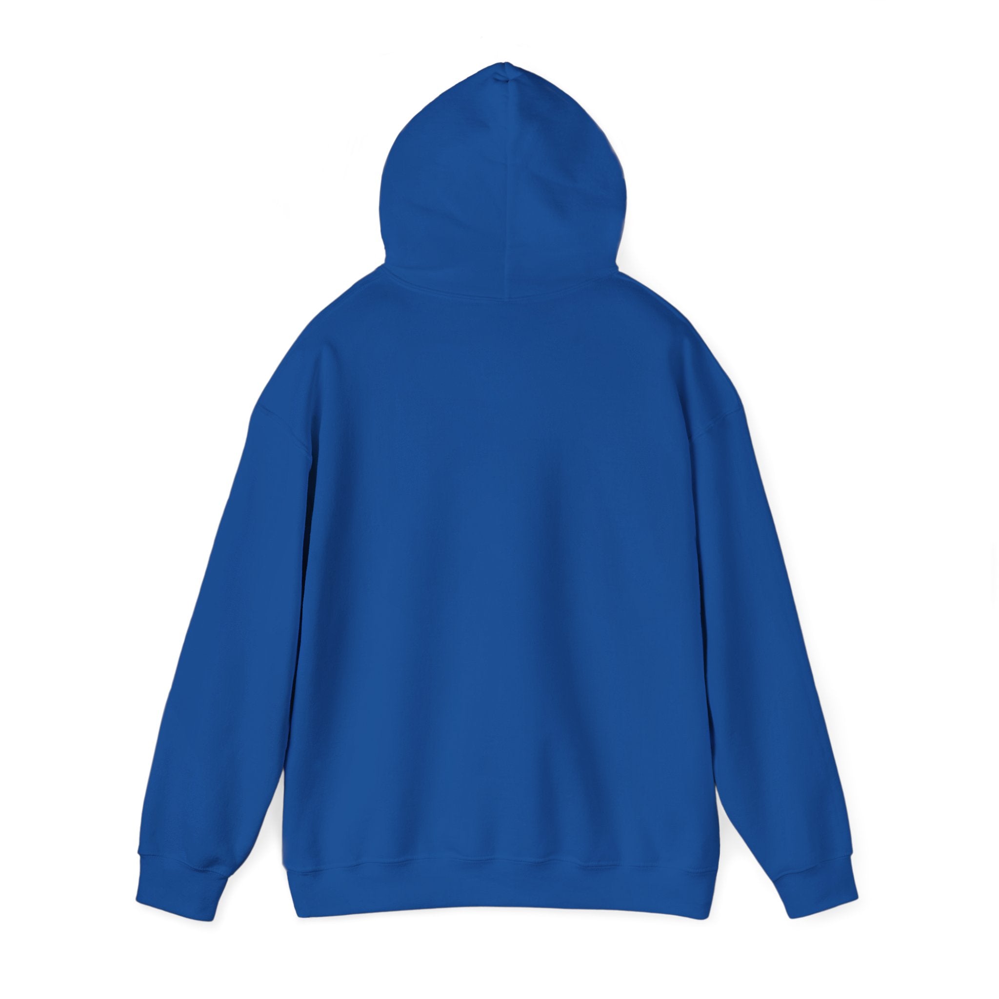 True Bearing Outfitters Hoodie – Vintage Wilderness Camping Sweatshirt
