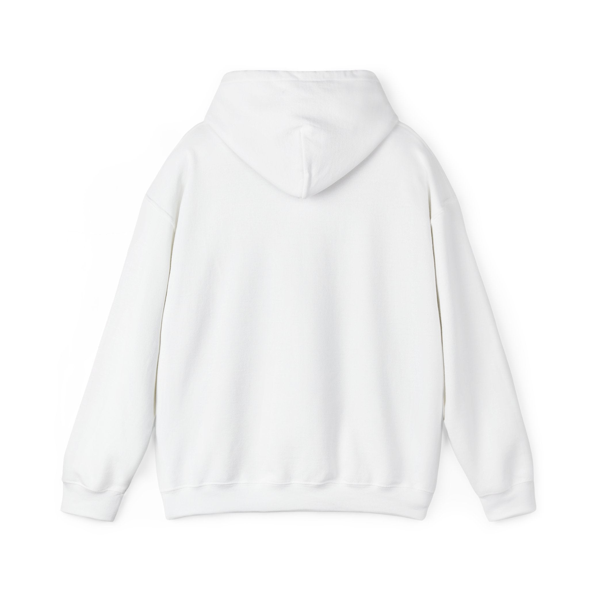 True Bearing Outfitters Hoodie – Vintage Wilderness Camping Sweatshirt