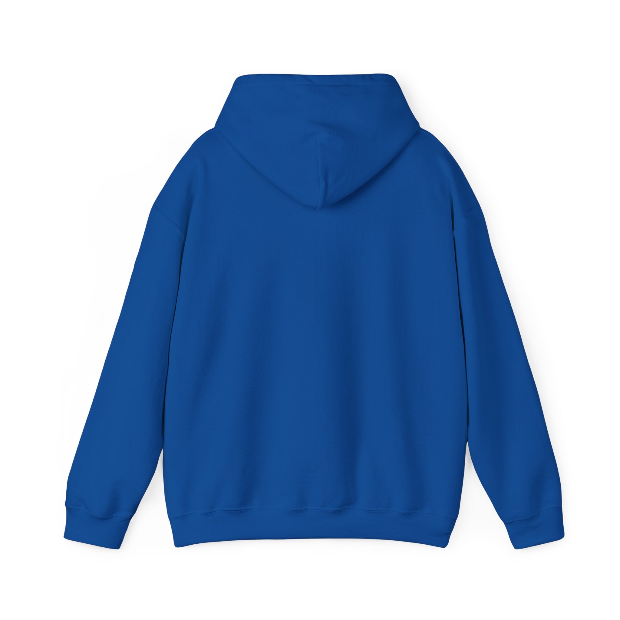 True Bearing Outfitters Hoodie – Vintage Wilderness Camping Sweatshirt