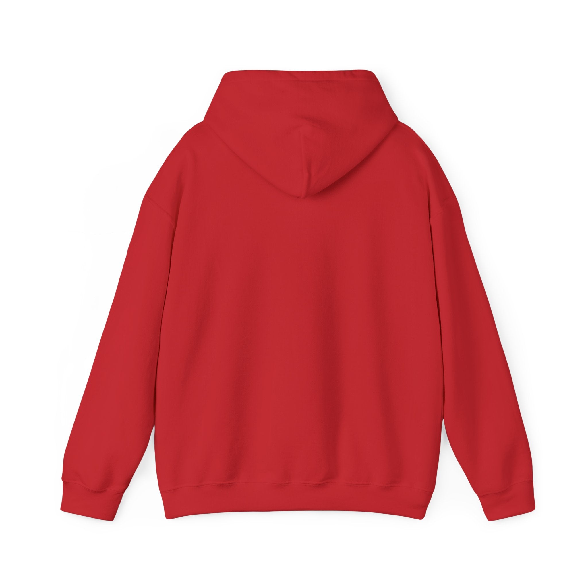 True Bearing Outfitters Hoodie – Vintage Wilderness Camping Sweatshirt