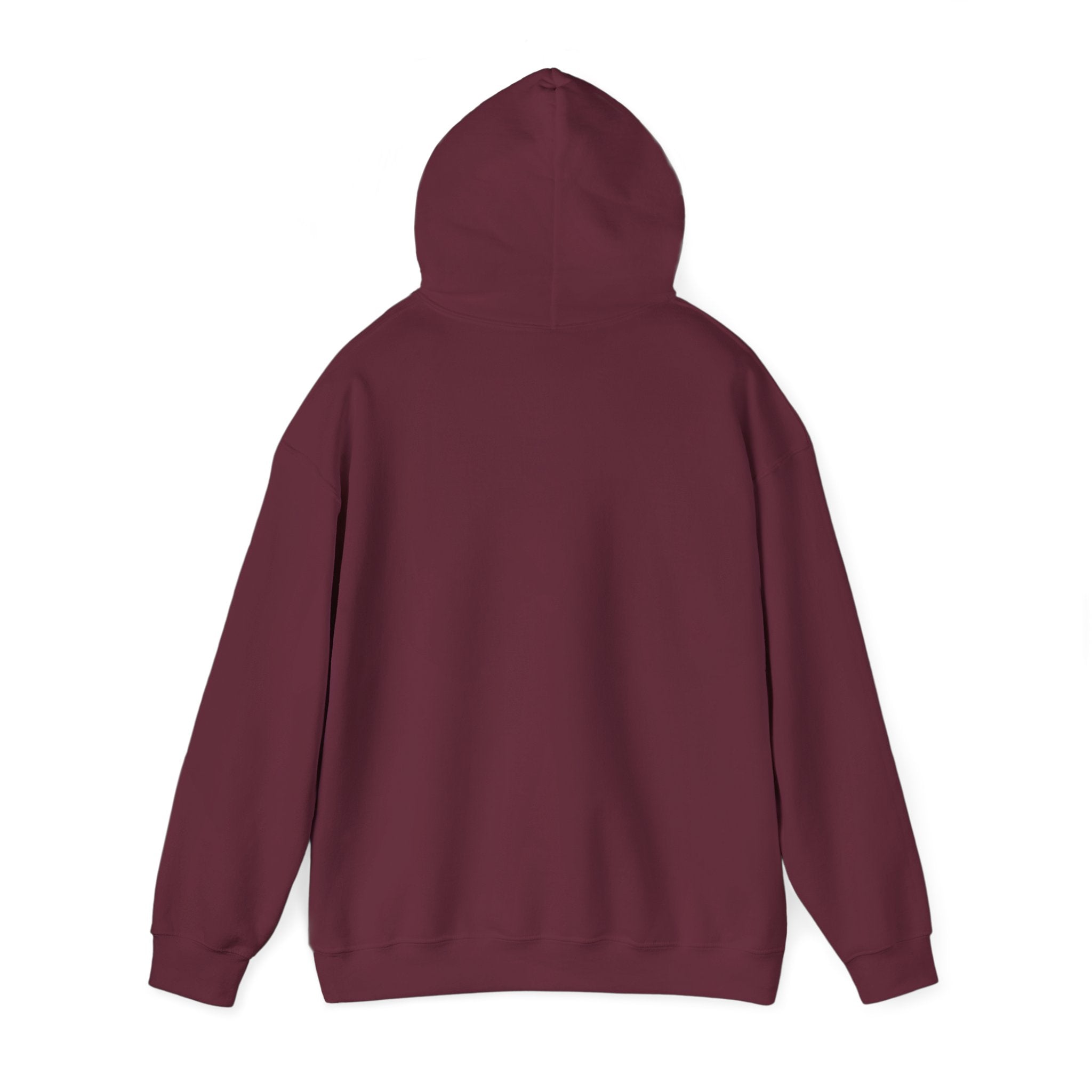 True Bearing Outfitters Hoodie – Vintage Wilderness Camping Sweatshirt