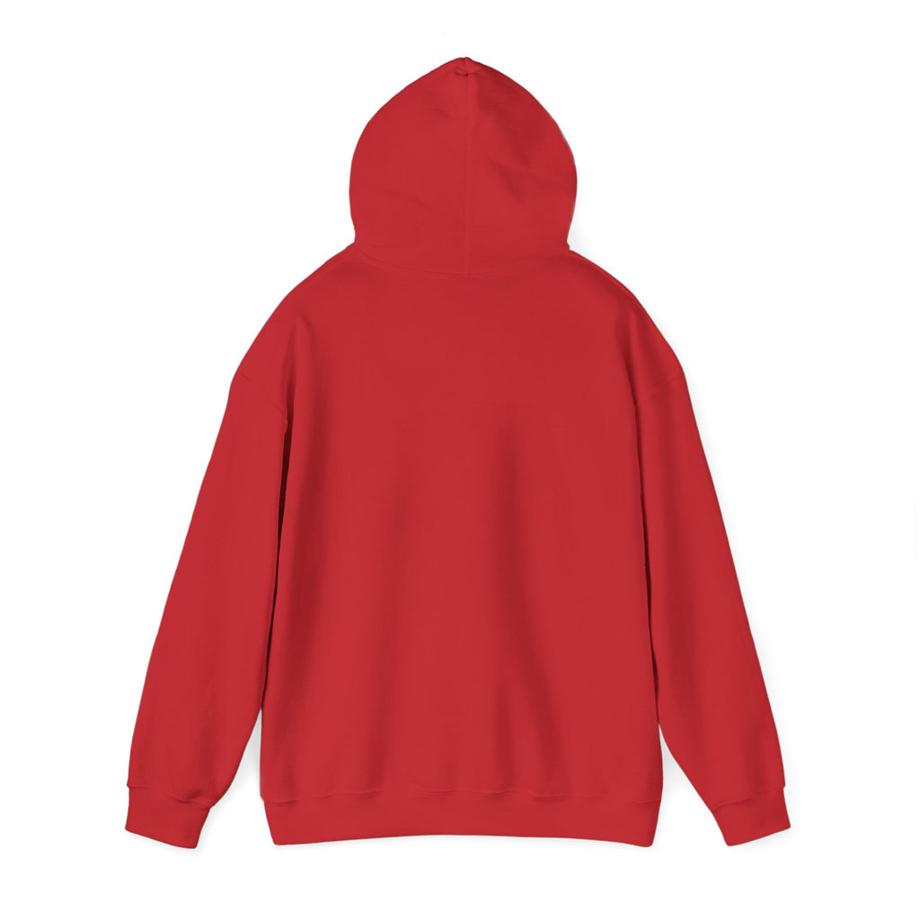 True Bearing Outfitters Hoodie – Vintage Wilderness Camping Sweatshirt