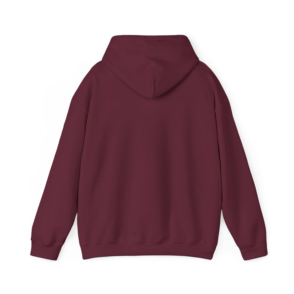 True Bearing Outfitters Hoodie – Vintage Wilderness Camping Sweatshirt